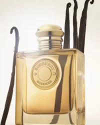 Goddess Burberry Eau de Parfum Feminino